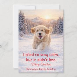 Cute Dog with Christmas Funny Quote | Holiday Card Feestdagenkaart