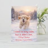 Cute Dog with Christmas Funny Quote | Holiday Card Feestdagenkaart (Staand voorkant)