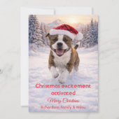 Cute Dog with Christmas Funny Quote | Holiday Card Feestdagenkaart (Voorkant)