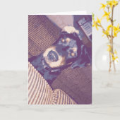 Cute Dog With One Ear Flipped Back Rottweiler Kaart (Gele Bloem)