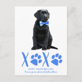 Cute Dog XOXO Kinder Puppy Valentijnsdag Feestdagenkaart (Voorkant)