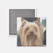 Cute Doggie Magnet (Voorkant / Achterkant)