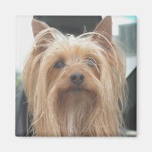 Cute Doggie Magnet (Voorkant)