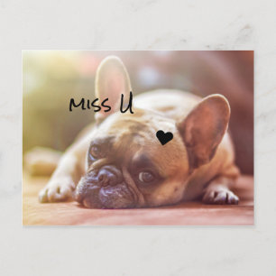 Cute Doggy aanpassen Briefkaart