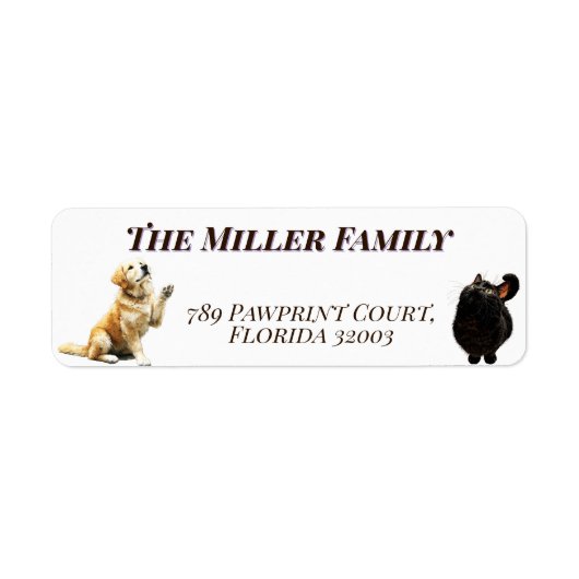 Cute dogs and cats look up Personalized Etiket (Voorkant)