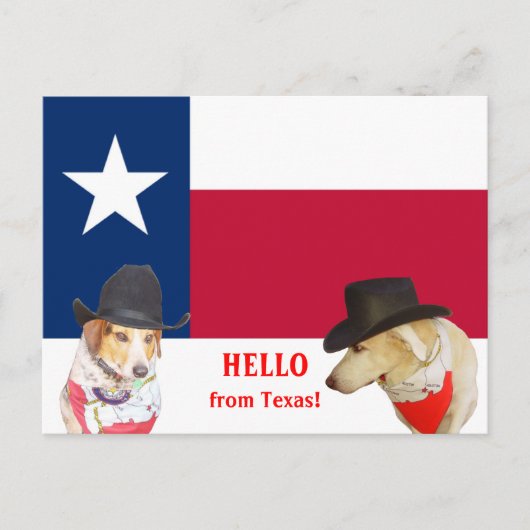 Cute Dogs Hallo uit Texas! Briefkaart (Voorkant)