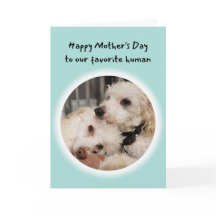 Cute Dogs Je bent mijn favoriete menselijke Moeder