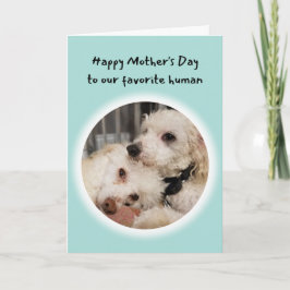 Cute Dogs Je bent mijn favoriete menselijke Moeder Kaart