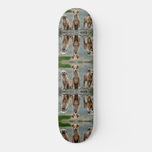 Cute Dogs Persoonlijk Skateboard (Voorkant)