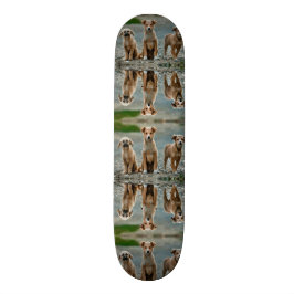 Cute Dogs Persoonlijk Skateboard