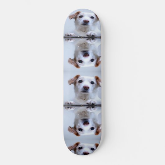 Cute Dogs Persoonlijk Skateboard (Voorkant)
