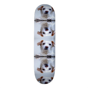 Cute Dogs Persoonlijk Skateboard