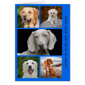 Cute Dogs Photo Birthday Collage (Voorkant)