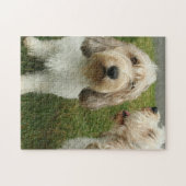Cute Dogs Photo Legpuzzel (Horizontaal)