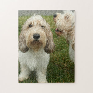 Cute Dogs Photo Legpuzzel