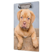 Cute Dogue de Bordeaux Puppy Dog Klembord (Links)
