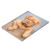 Cute Dogue de Bordeaux Puppy Dog Notitieboek (Linkerzijde)