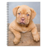Cute Dogue de Bordeaux Puppy Dog Notitieboek (Voorkant)