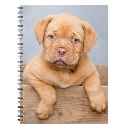 Cute Dogue de Bordeaux Puppy Dog Notitieboek