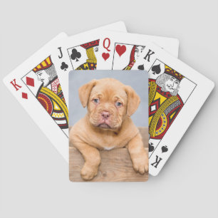 Cute Dogue de Bordeaux Puppy Dog Pokerkaarten