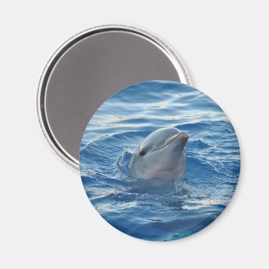 Cute Dolphin Face in Ocean Magneet (Voorkant / Achterkant)
