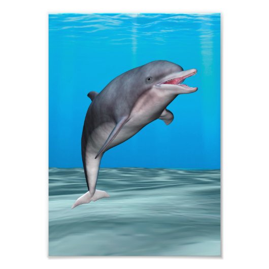 Cute Dolphin Foto Afdruk (Voorkant)