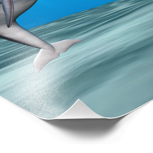 Cute Dolphin Foto Afdruk (Hoek)