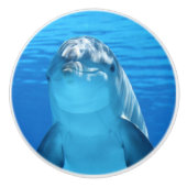 Cute dolphin keramische knop (Voorkant)