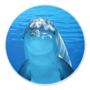 Cute dolphin keramische knop