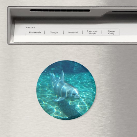 Cute Dolphin Magneet (Insitu (Vaatwasser))