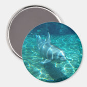 Cute Dolphin Magneet (Voorkant / Achterkant)