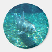 Cute Dolphin Magneet (Voorkant)