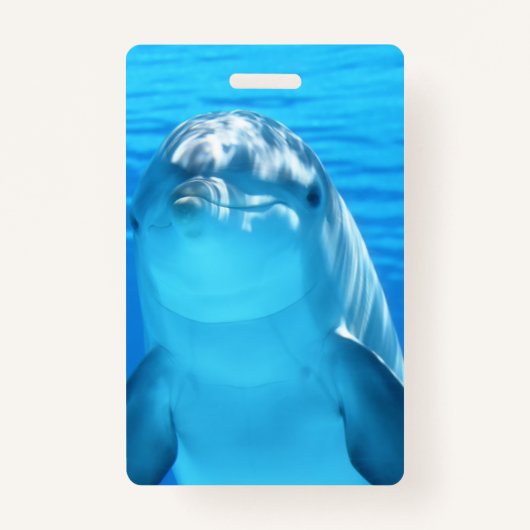Cute Dolphin Marine Animal in Blue Zee Badge (Voorkant)