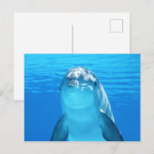 Cute Dolphin Marine Animal in Blue Zee Briefkaart (Voorkant / Achterkant)