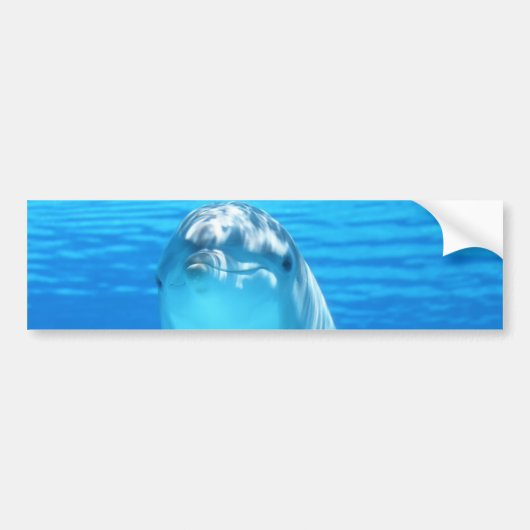 Cute Dolphin Marine Animal in Blue Zee Bumpersticker (Voorkant)