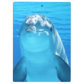 Cute Dolphin Marine Animal in Blue Zee Klembord (Achterkant)