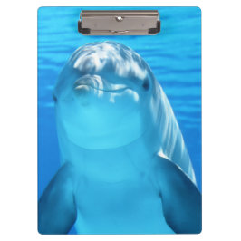 Cute Dolphin Marine Animal in Blue Zee Klembord