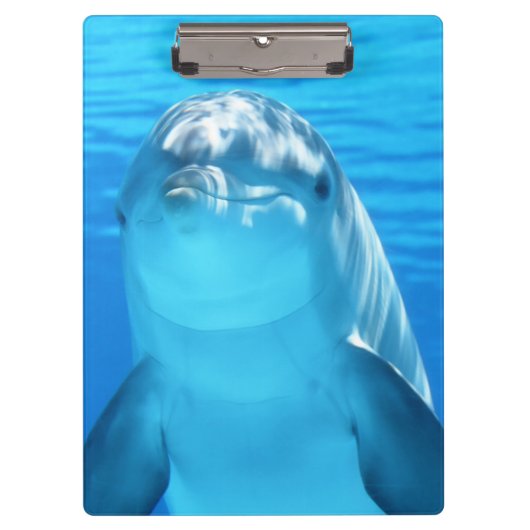 Cute Dolphin Marine Animal in Blue Zee Klembord (Voorkant)