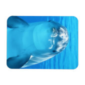 Cute Dolphin Marine Animal in Blue Zee Magneet (Horizontaal)