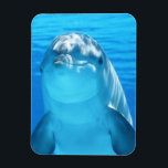 Cute Dolphin Marine Animal in Blue Zee Magneet<br><div class="desc">Cute Dolphin Marine Animal in Blue Zee</div>