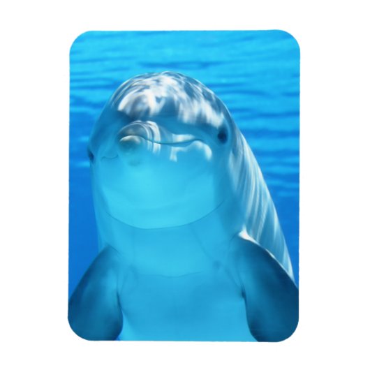 Cute Dolphin Marine Animal in Blue Zee Magneet (Verticaal)