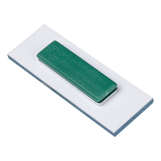 Cute Dolphin Marine Animal in Blue Zee Naambadge (Achterkant)