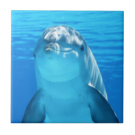 Cute Dolphin Marine Animal in Blue Zee Tegeltje