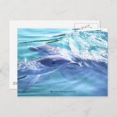 Cute Dolphins Photo Briefkaart (Voorkant / Achterkant)