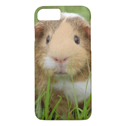 Cute Domestic Guinea Pig Case-Mate iPhone Case (Achterkant)
