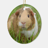 Cute Domestic Guinea Pig Keramisch Ornament (Links)