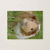 Cute Domestic Guinea Pig Legpuzzel (Horizontaal)