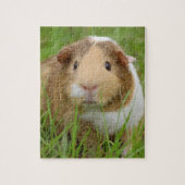 Cute Domestic Guinea Pig Legpuzzel (Verticaal)