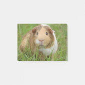 Cute Domestic Guinea Pig Post-it® Notes (Voorkant)