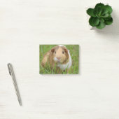 Cute Domestic Guinea Pig Post-it® Notes (Kantoor)